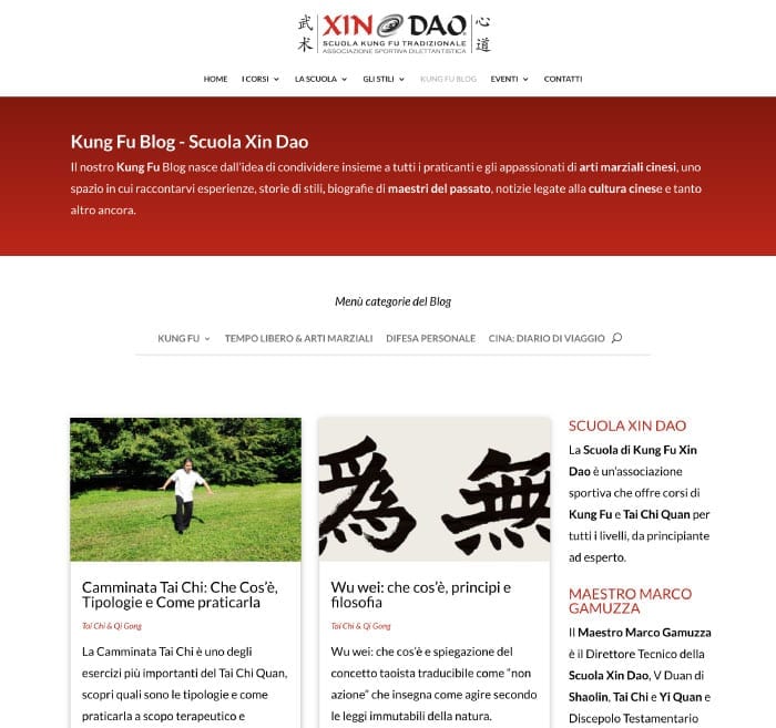 Blog aziendale - esempio Kung Fu